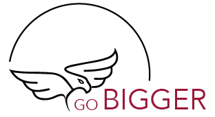 Go Bigger GmbH Logo