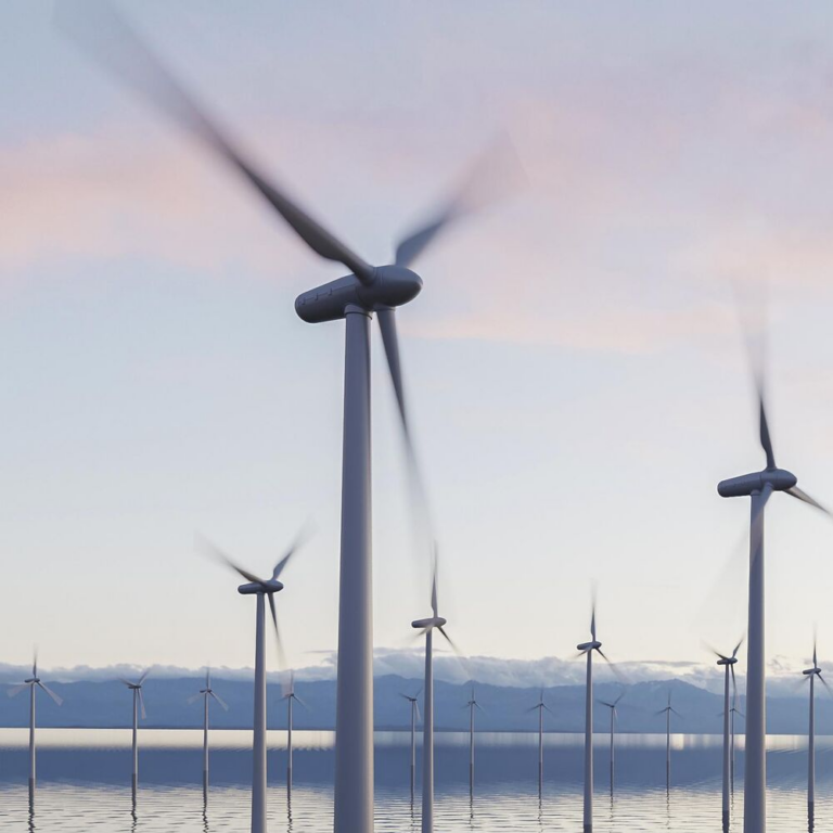 Mehr über den Artikel erfahren Kollisionsrisiken von Vögeln bei Offshore-Windparks